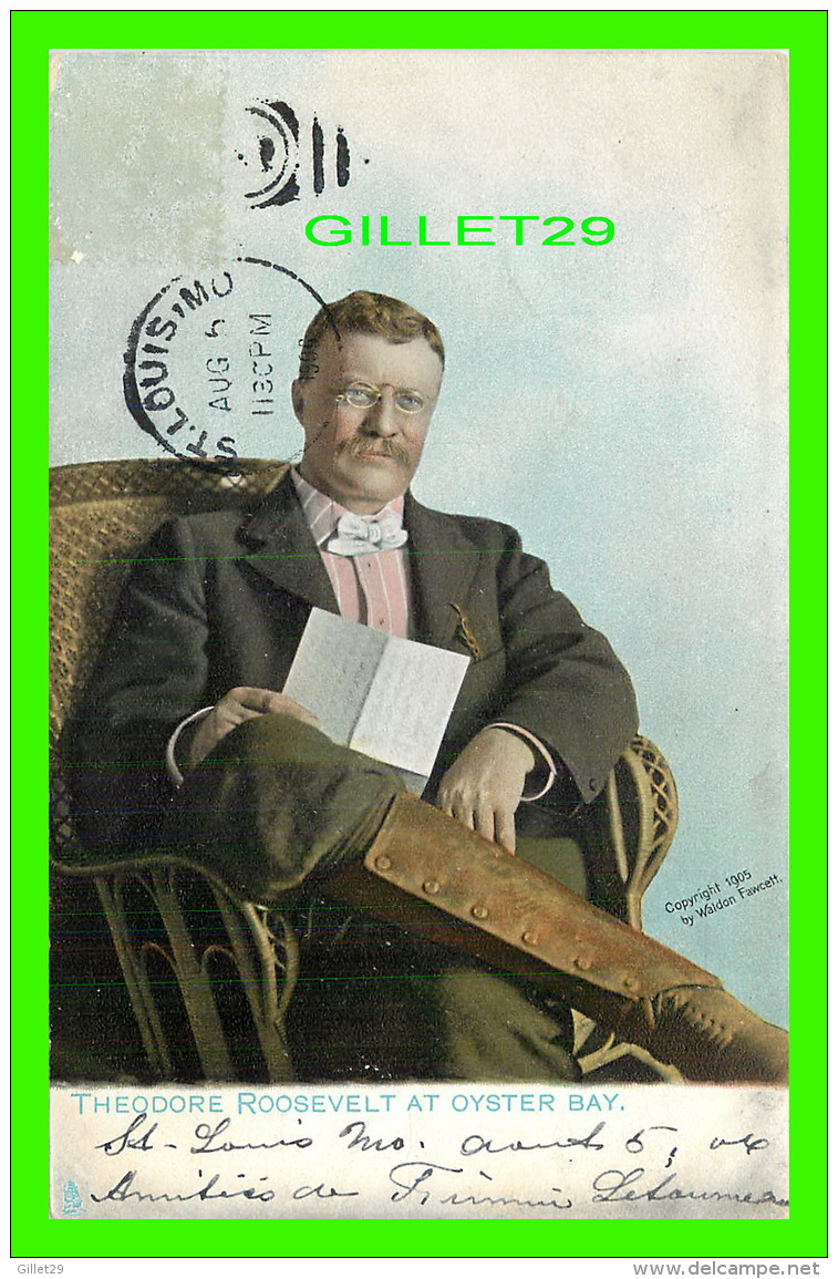 CÉLÉBRITÉES - THEODORE ROOSEVELT AT OYSTER BAY - 1905 BY WALDON FAWCETT - TRAVEL IN 1906 - RAPHAEL TUCK &amp; SONS - - Hommes Politiques & Militaires