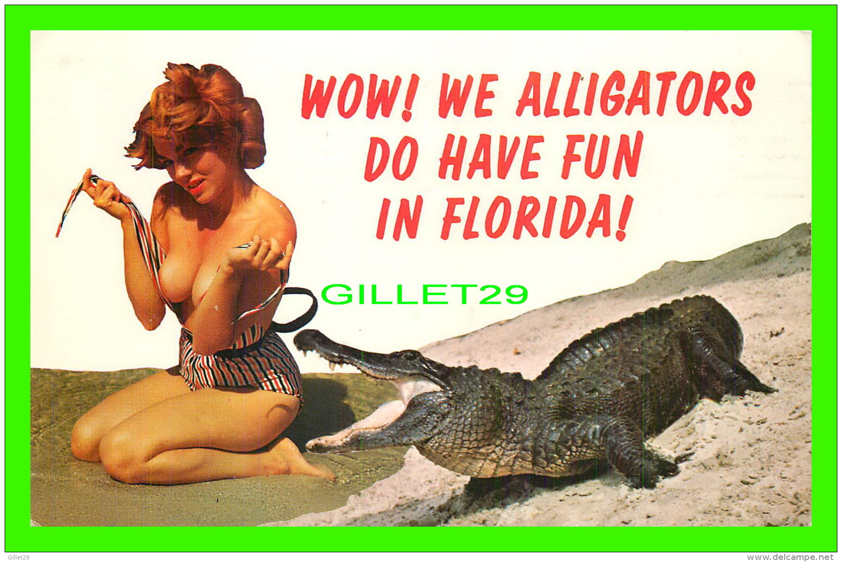 HUMOUR, COMICS - WOW ! WE ALLIGATORS DO HAVE FUN IN FLORIDA - TRAVEL IN 1969 - KOPPEL COLOR CARDS - - Humor