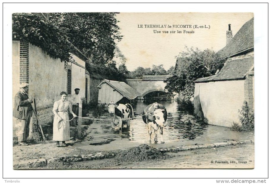 FRANCE (28) - TREMBLAY-LE-VICOMTE (Eure-et-Loir) - Une Vue Sur Les Fossés - Autres & Non Classés