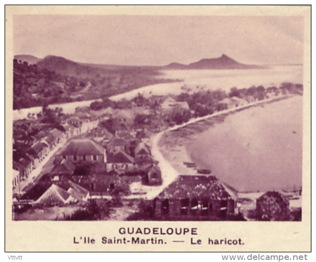 Chromo, Image, Vignette : Guadeloupe, L'île Saint-Martin, Le Haricot (6 Cm Sur 7 Cm) - Other & Unclassified