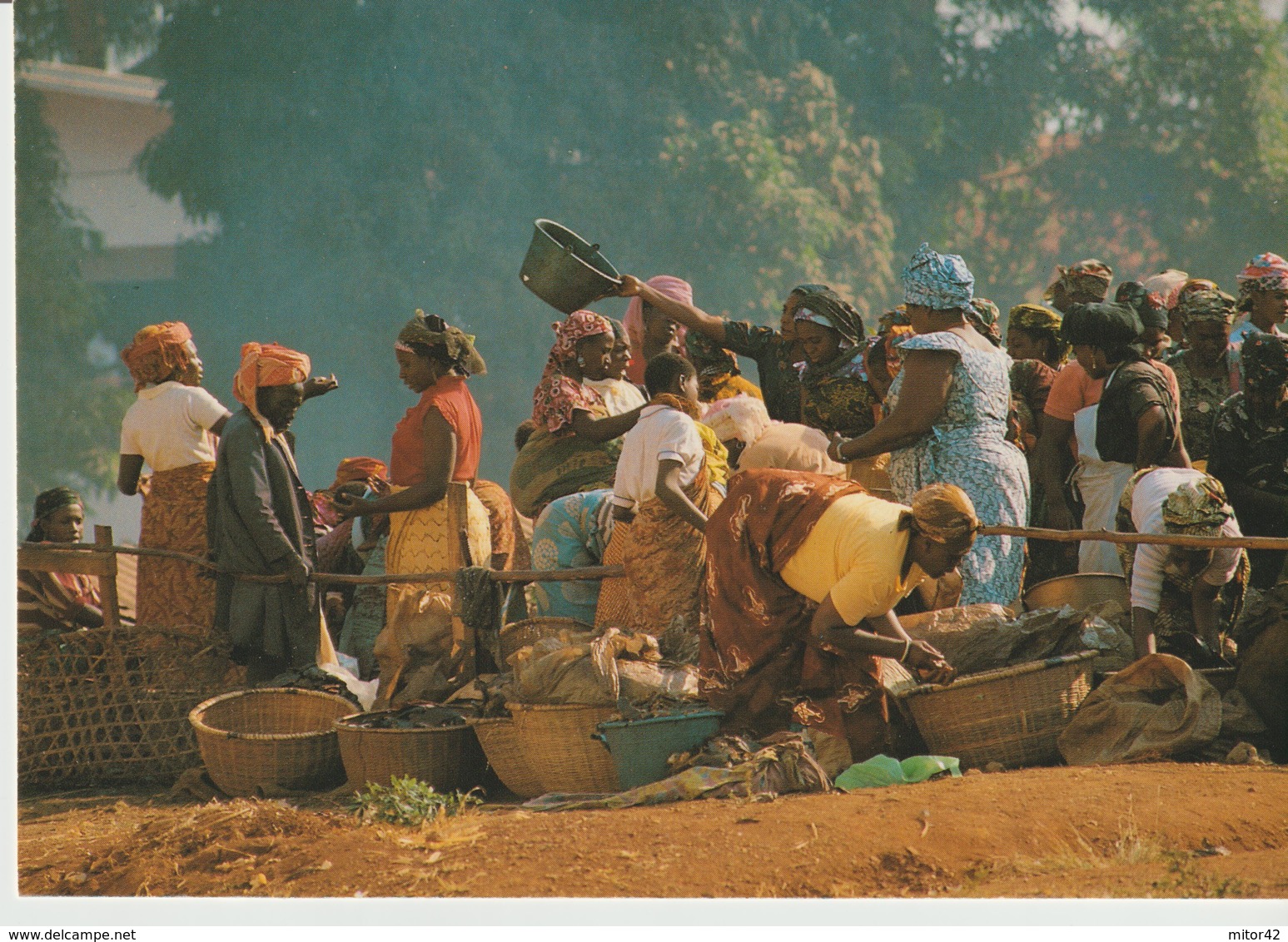 431-Folklore-Usi E Costumi-Camrroun-Africa - Africa