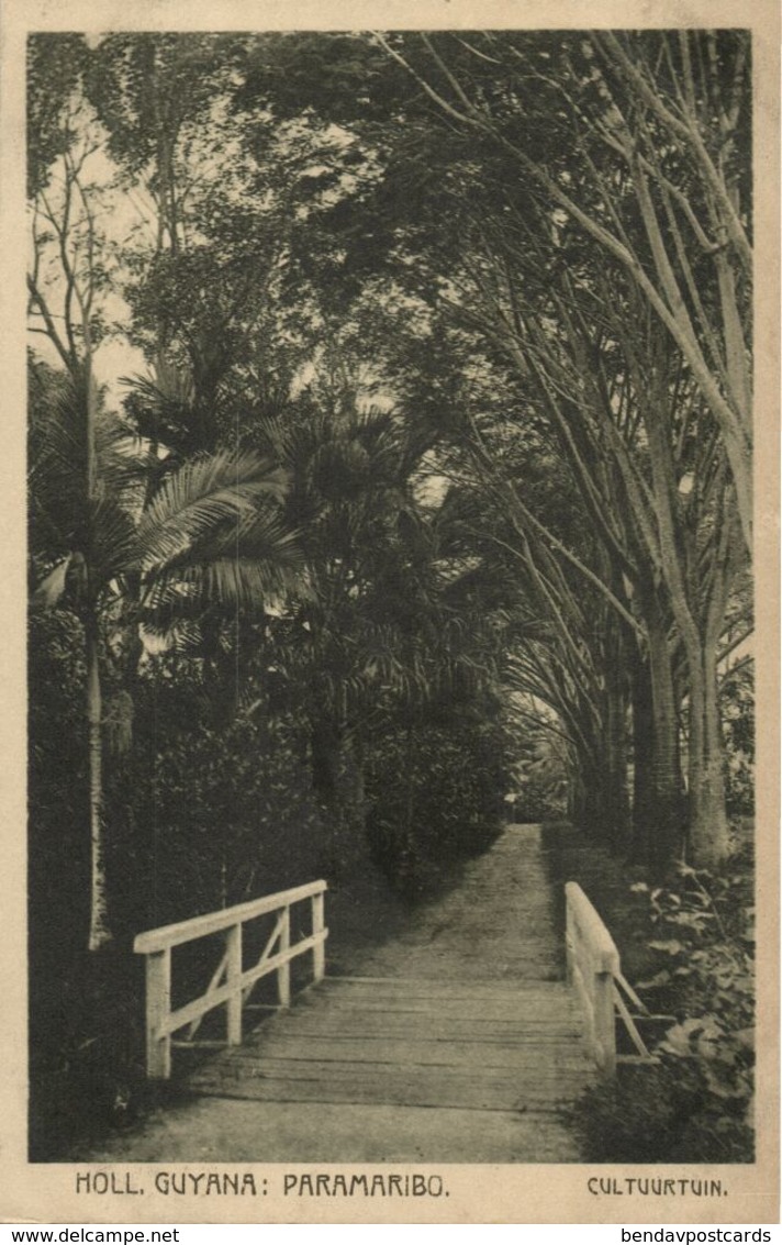 Suriname, PARAMARIBO, Cultuurtuin, Gardens (1910s) Postcard - Suriname