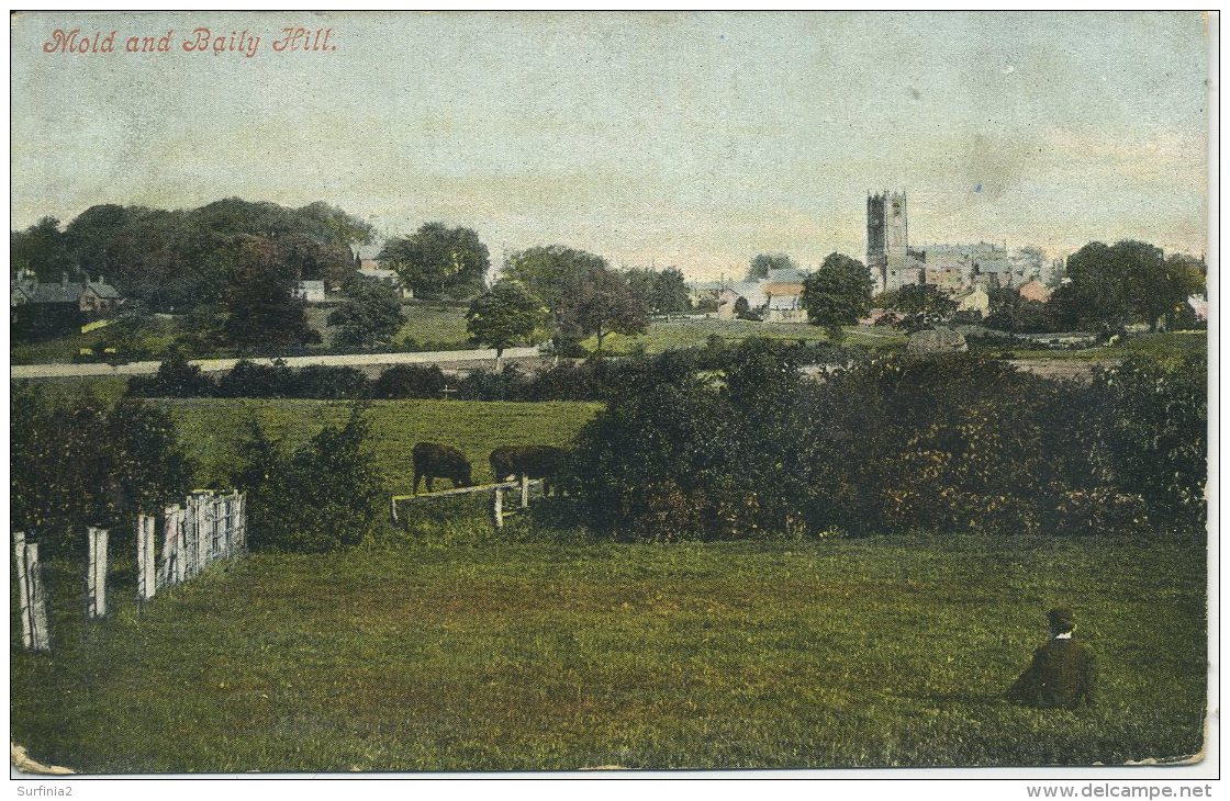 FLINTSHIRE - MOLD AND BAILY HILL 1905 Clw189 - Flintshire