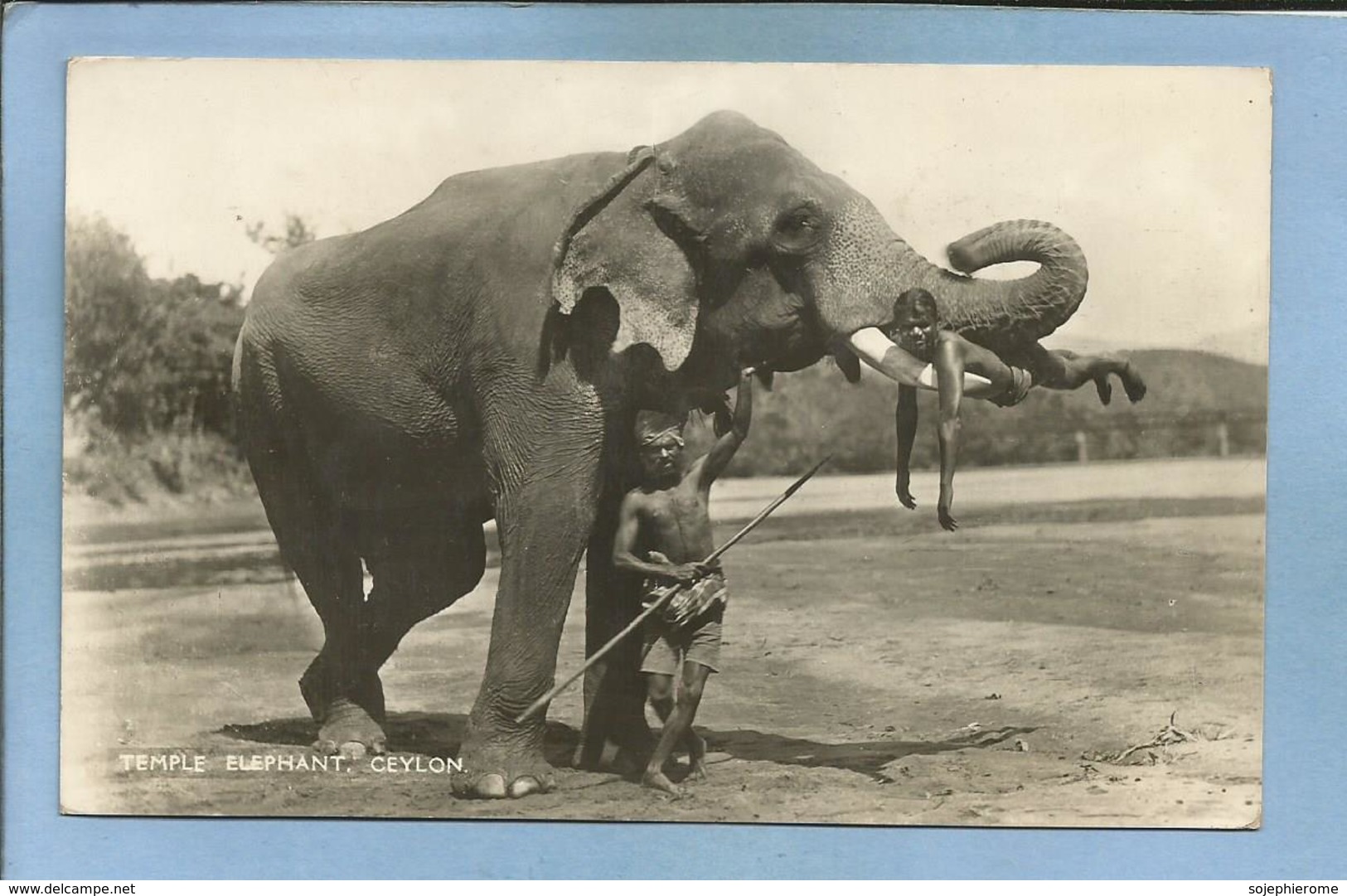Ceylon (Sri Lanka) Temple Elephant With His Cornacs 2 Scans 1951 Nice Stamps By Air Mail - Sri Lanka (Ceylon)