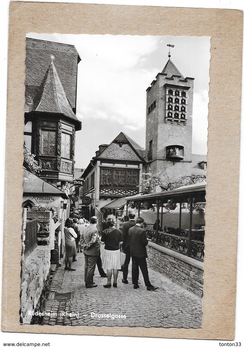 RUDESHEIM - ALLEMAGNE - Drosselgasse - NANT1 - - Rheingau