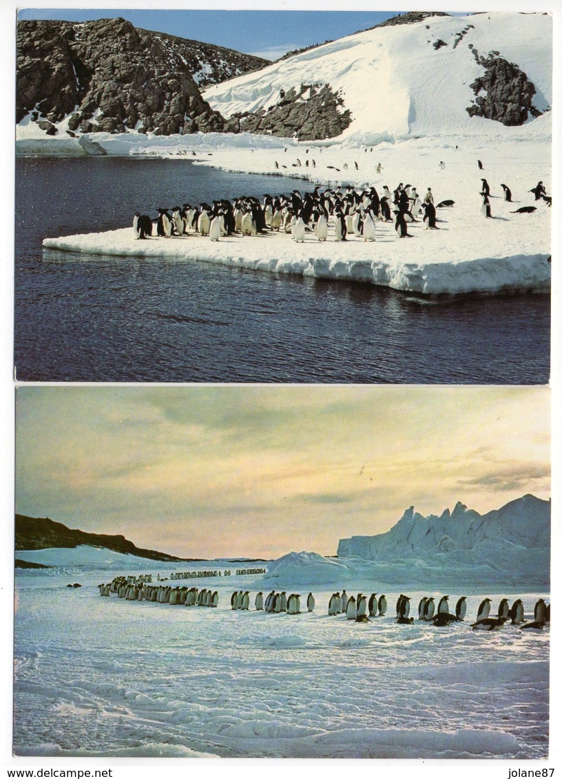 CPM   T A A F  TERRES AUSTRALES   MANCHOTS ADELIE  ET EMPEREURS EXPEDITION FRANCAISE 1988 1989 - TAAF : Terres Australes Antarctiques Françaises