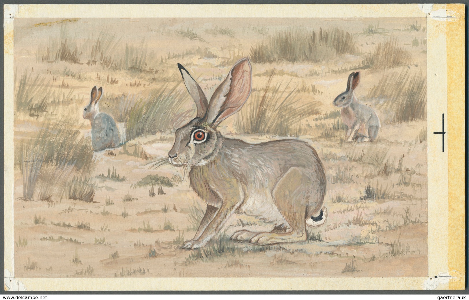 Bahrain: 1982, Bahrain. Artist's Drawing For The Fourth 100f Value Of The Set "Al-Areen Wildlife Par - Bahrein (1965-...)