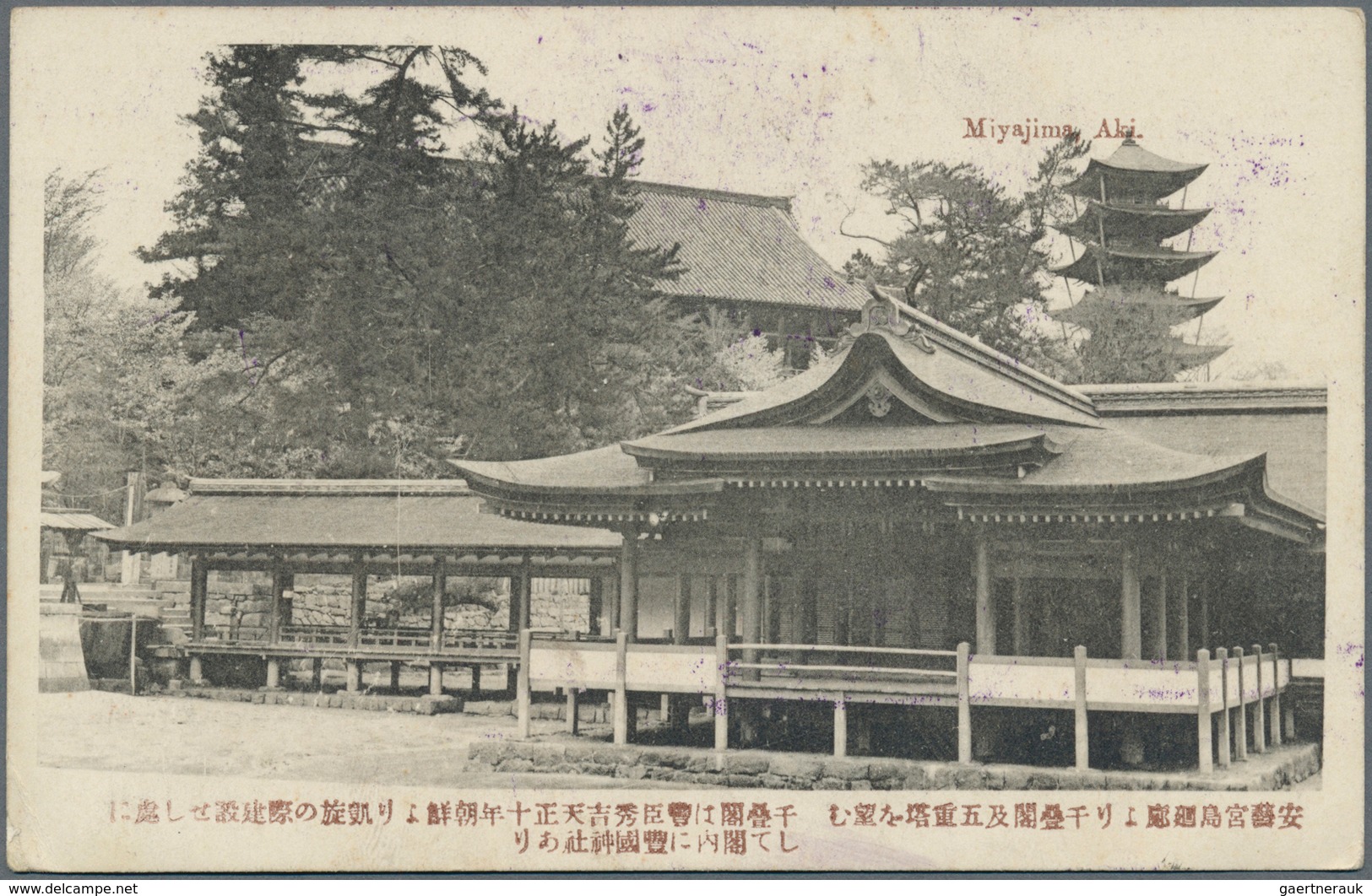 Lagerpost Tsingtau: Matsuyama, 1915, Ppc With Boxed "SDP /DG.", Red. Vertical S. L. "POW Mail" And B - Chine (bureaux)