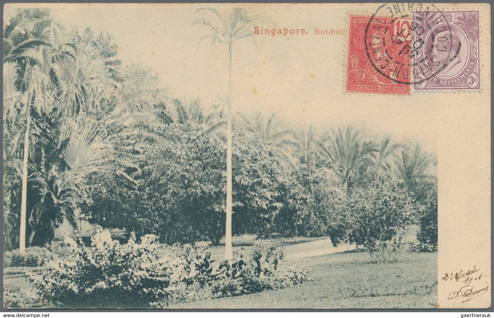 Malaiische Staaten - Straits Settlements: 1908, Picture Post Card Of "Botanical Gardens, Singapore" - Straits Settlements