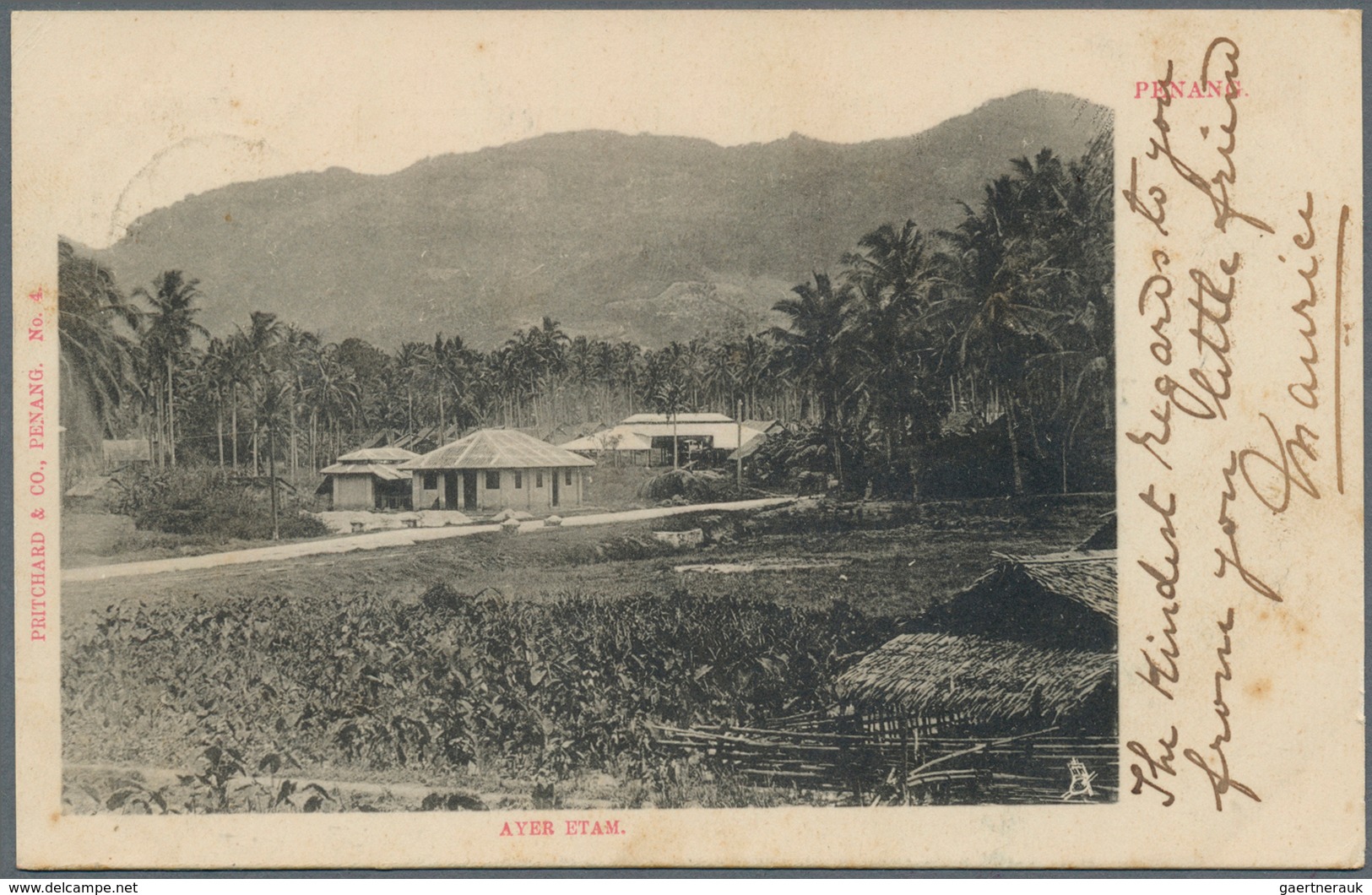 Malaiische Staaten - Selangor: 1906, SERENDAH: Federated Malay States Tiger 3c. Grey-brown/brown Sin - Selangor