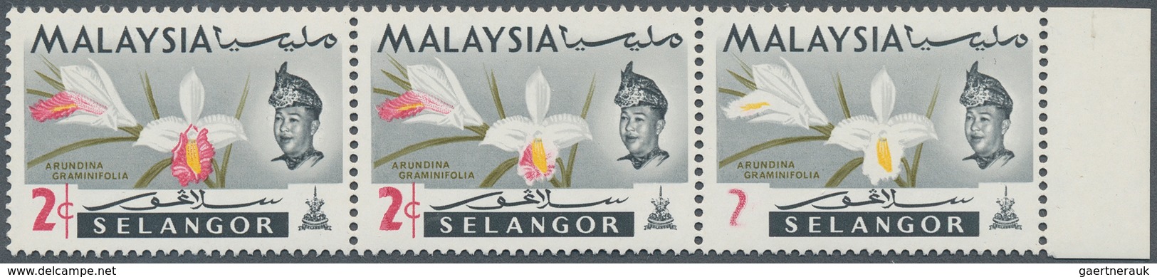 Malaiische Staaten - Selangor: 1965, Orchids 2c. 'Arundina Graminifolia' Horiz. Strip Of Three From - Selangor