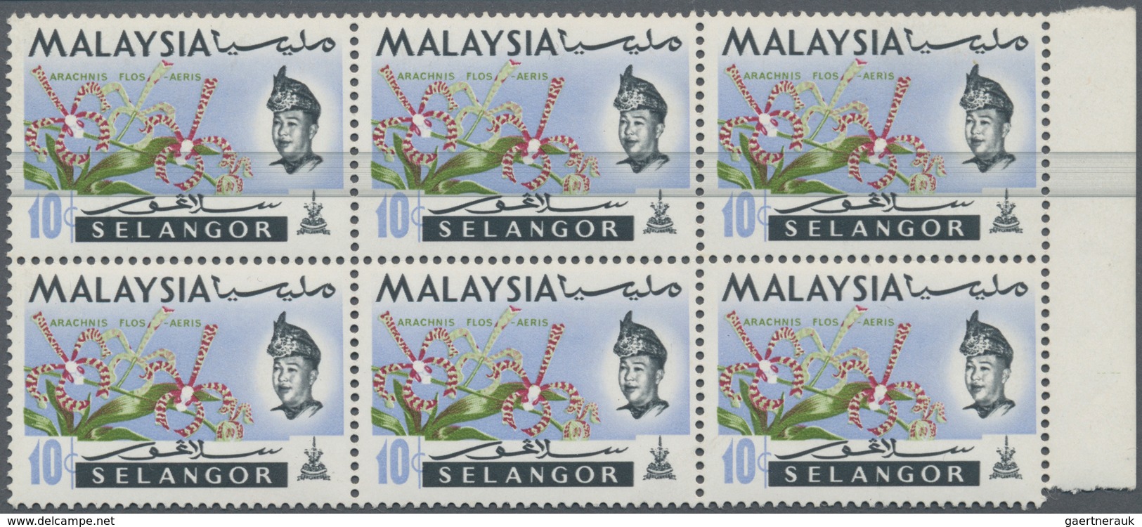 Malaiische Staaten - Selangor: 1965, Orchids 10c. 'Arachnanthe Moschifera' Block Of Six From Right M - Selangor