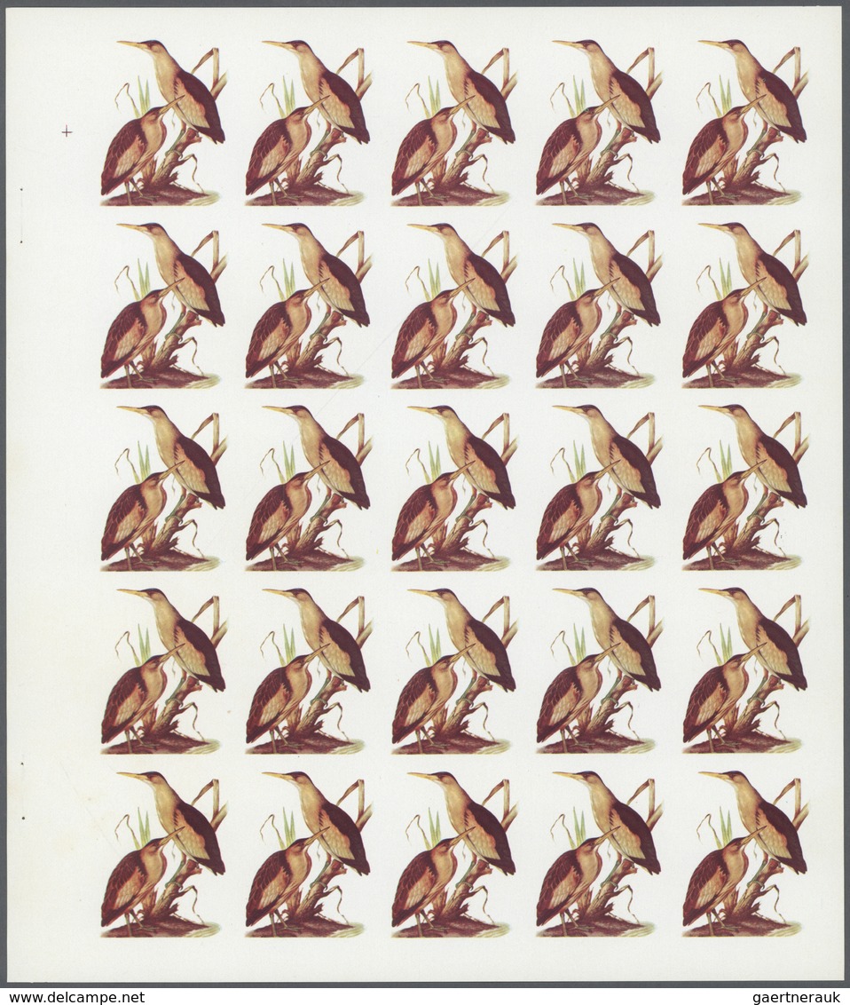 Schardscha / Sharjah: 1972. Sharjah. Progressive Proof (5 Phases) In Complete Sheets Of 25 For The 7 - Schardscha