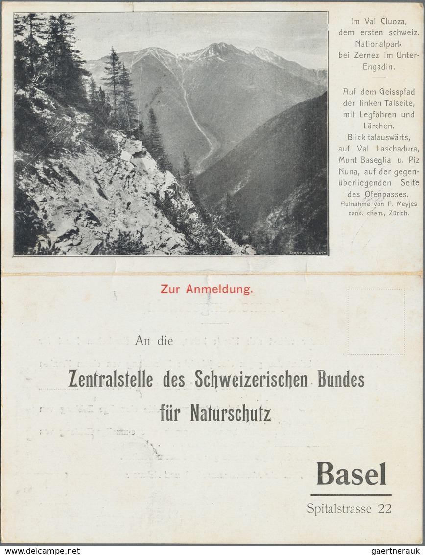 Thematik: Alpen / Alps: 1909 (approx), Switzerland. Private Entire Folded Card 2c Olive-brown Tell " - Non Classés