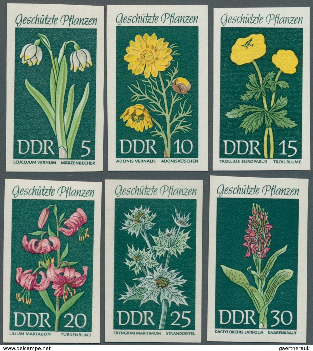 Thematik: Flora, Botanik / Flora, Botany, Bloom: 1969, DDR: Geschützte Heimische Pflanzen Kompletter - Autres & Non Classés