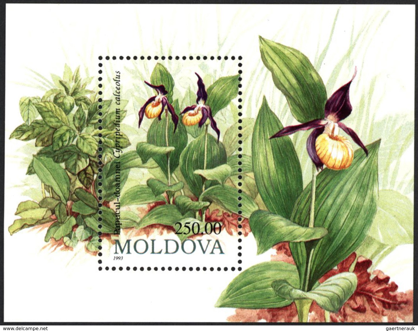 Thematik: Flora, Botanik / Flora, Botany, Bloom: 1993, MOLDOVA: Protected FLOWERS Miniature Sheet 'C - Autres & Non Classés