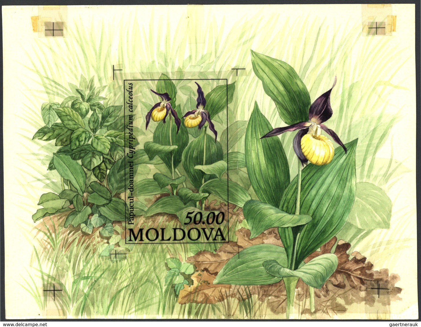 Thematik: Flora, Botanik / Flora, Botany, Bloom: 1993, MOLDOVA: Protected FLOWERS Miniature Sheet 'C - Autres & Non Classés