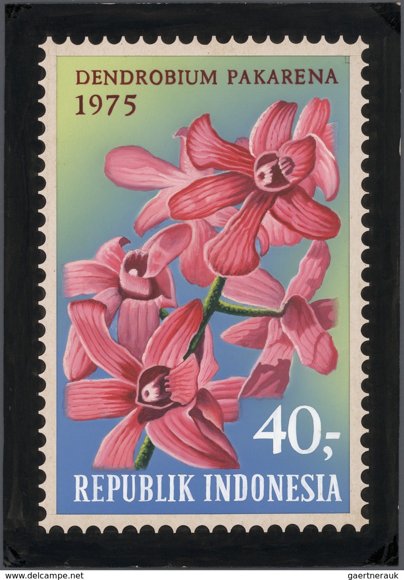 Thematik: Flora-Orchideen / Flora-orchids: 1975, Indonesia. Essay / Arts Drawing DENDROBIUM PAKARENA - Orchidées