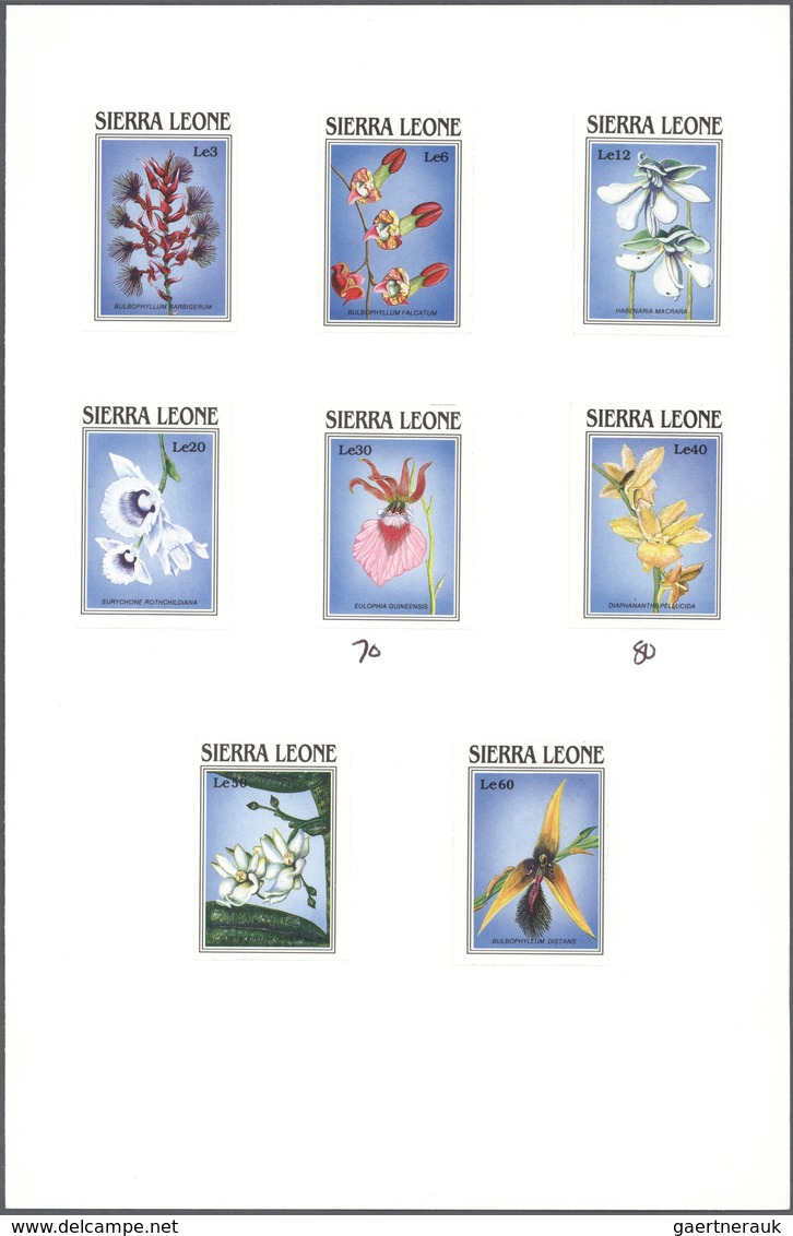 Thematik: Flora-Orchideen / Flora-orchids: 1989, SIERRA LEONE: Orchids Complete Set Of Eight Values - Orchidées