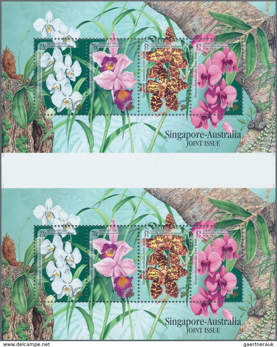 Thematik: Flora-Orchideen / Flora-orchids: 1998, Singapore. ORCHIDS Of Singapore And Australia. The - Orchidées