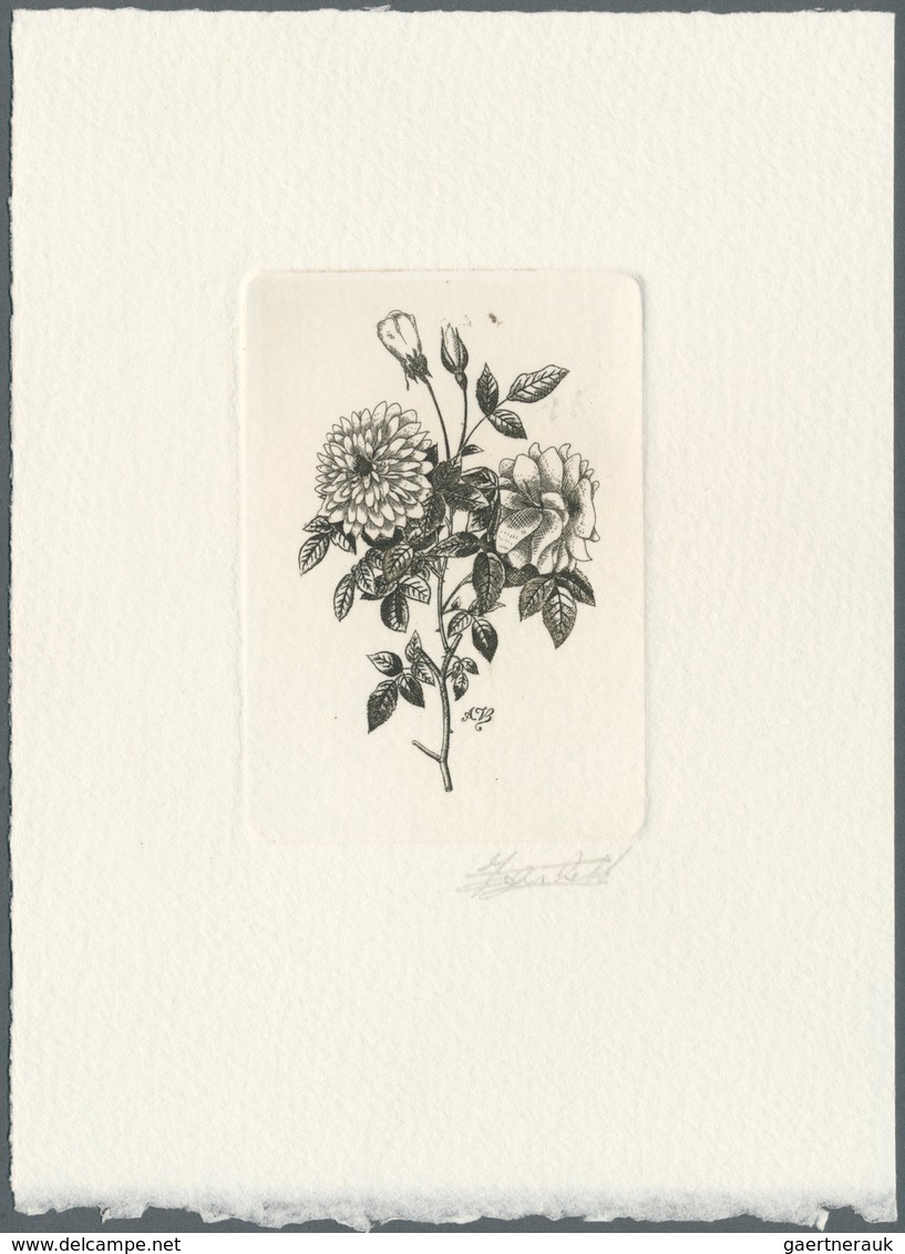 Thematik: Flora-Rosen / Flora-roses: 1989, Belgium. Epreuve D'artiste Signée In Black For The Stamp - Roses