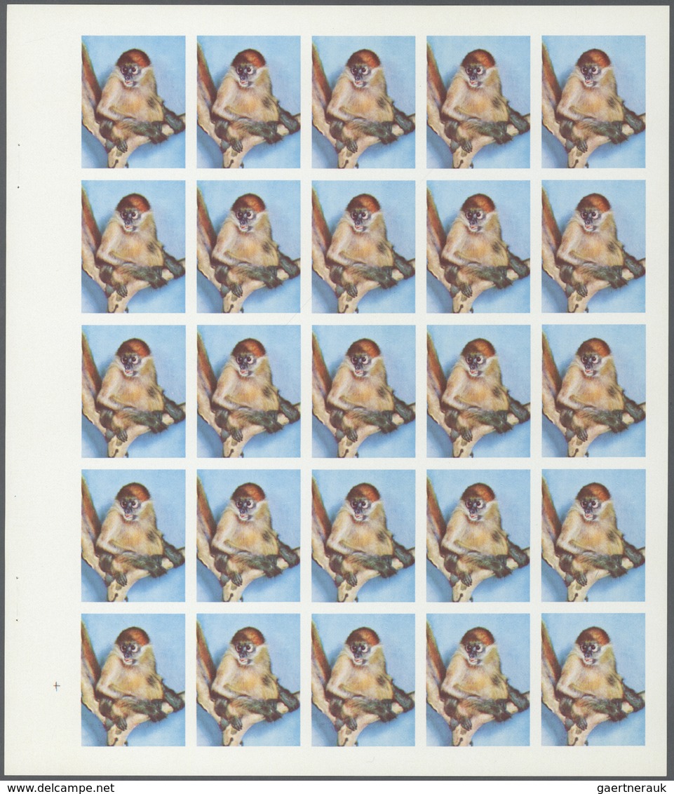 Thematik: Tiere-Affen / Animals-monkeys: 1972. Sharjah. Progressive Proof (5 Phases) In Complete She - Monkeys