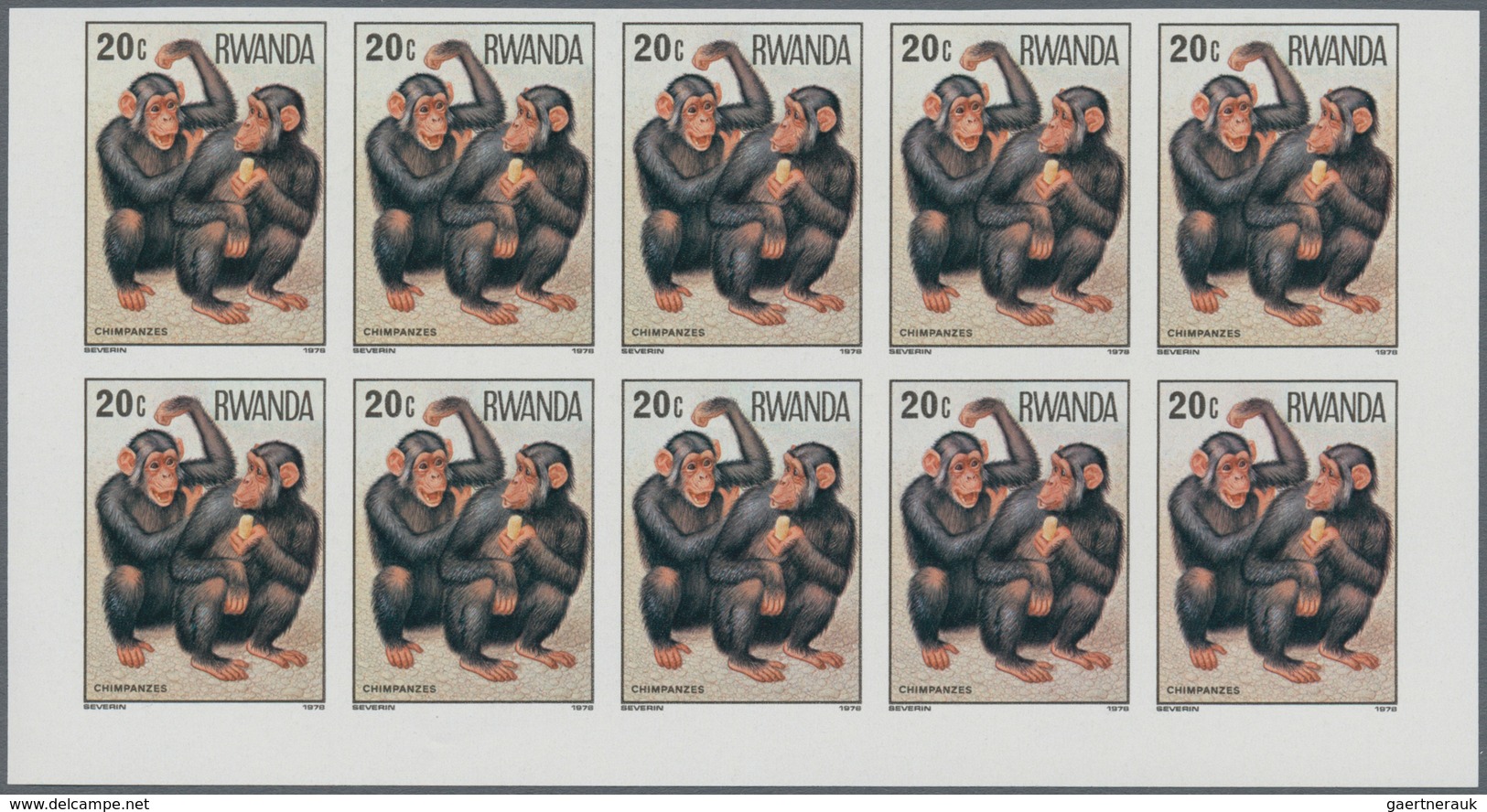 Thematik: Tiere-Affen / animals-monkeys: 1978, RWANDA: Monkeys complete set of eight from 20c. to 15