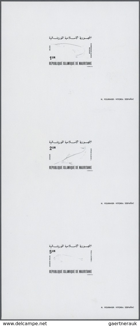 Thematik: Tiere-Fische / Animals-fishes: 1979, Mauritania - 6 Items; Collective, Progressive Plate P - Poissons