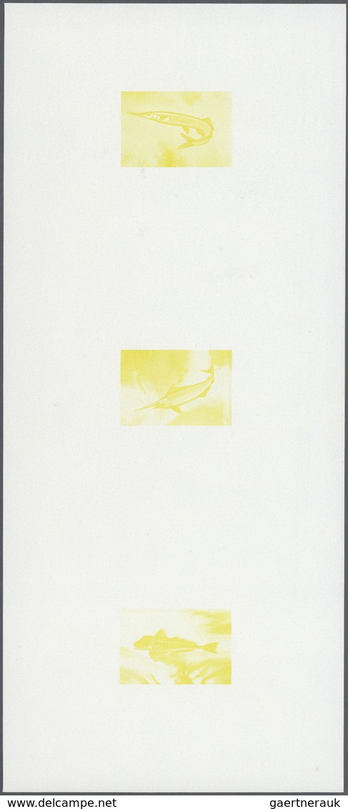 Thematik: Tiere-Fische / Animals-fishes: 1979, Mauritania - 6 Items; Collective, Progressive Plate P - Poissons