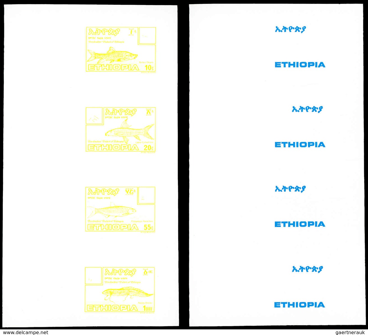 Thematik: Tiere-Fische / Animals-fishes: 1985, Ethiopia: FRESHWATER FISHES - 8 Items; Collective, Pr - Poissons