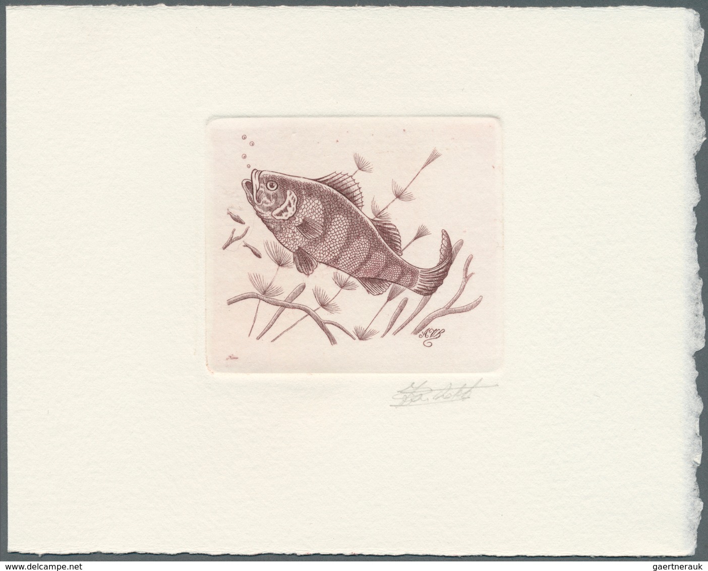Thematik: Tiere-Fische / Animals-fishes: 1990, Belgium. Epreuve D'artiste Signée In Reddish-brown Fo - Fische