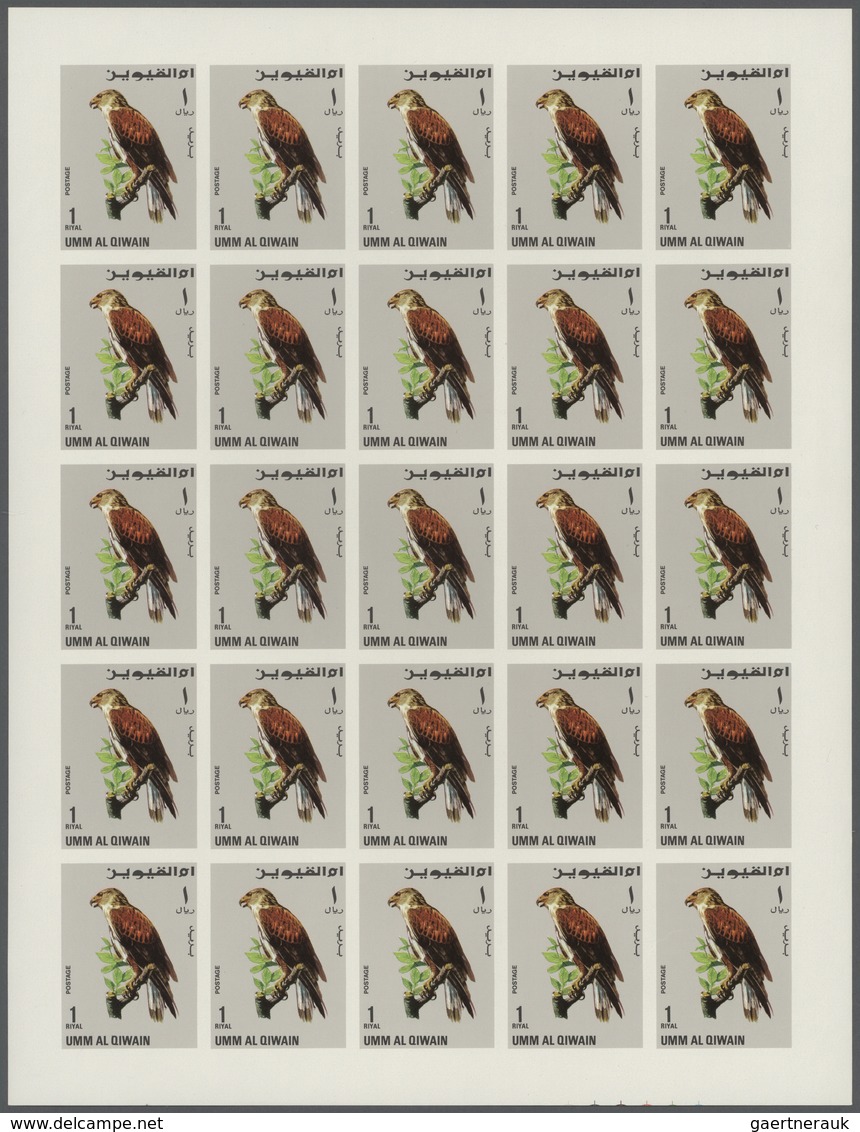Thematik: Tiere-Greifvögel / animals-birds of prey: 1968, Umm al Qaiwain, Birds of Prey, 15dh. to 5r