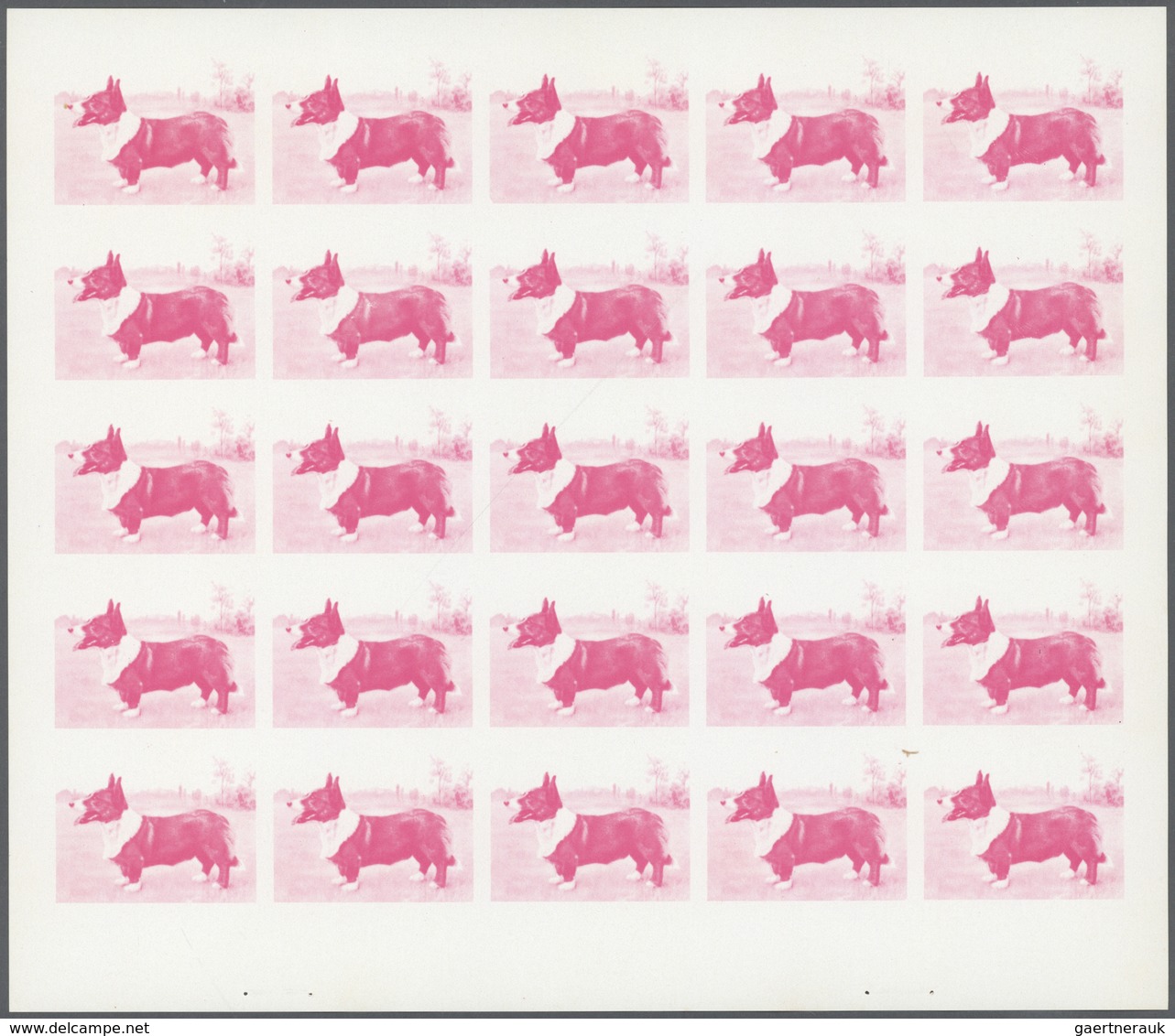 Thematik: Tiere-Hunde / Animals-dogs: 1972. Sharjah. Progressive Proof (6 Phases) In Complete Sheets - Chiens