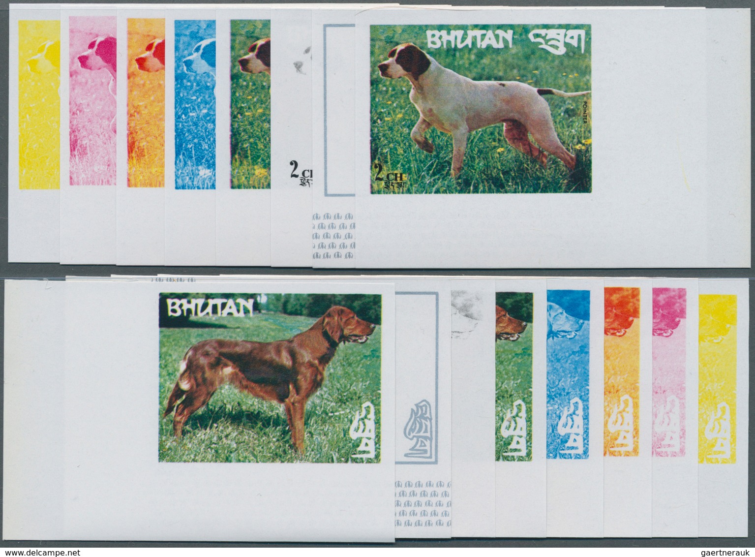 Thematik: Tiere-Hunde / animals-dogs: 1973, BHUTAN: dogs of the world complete set of eight values e