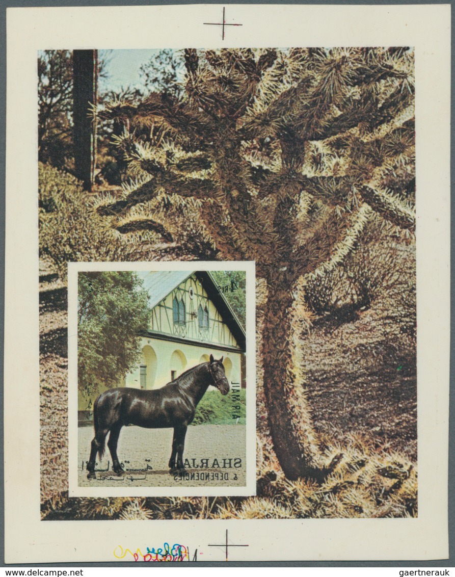 Thematik: Tiere-Pferde / Animals-horses: 1972, Schardscha / Sharjah, Horses, Complete Set Of Five Va - Pferde