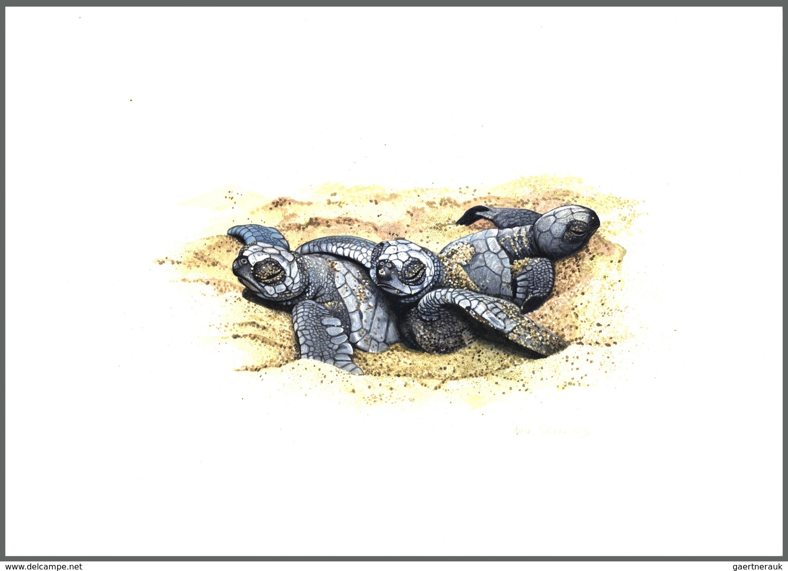 Thematik: Tiere-Schildkröten / Animals-turtles: 1995 (ca.), TURKMENISTAN: Turtles Set Of Four Differ - Tortues