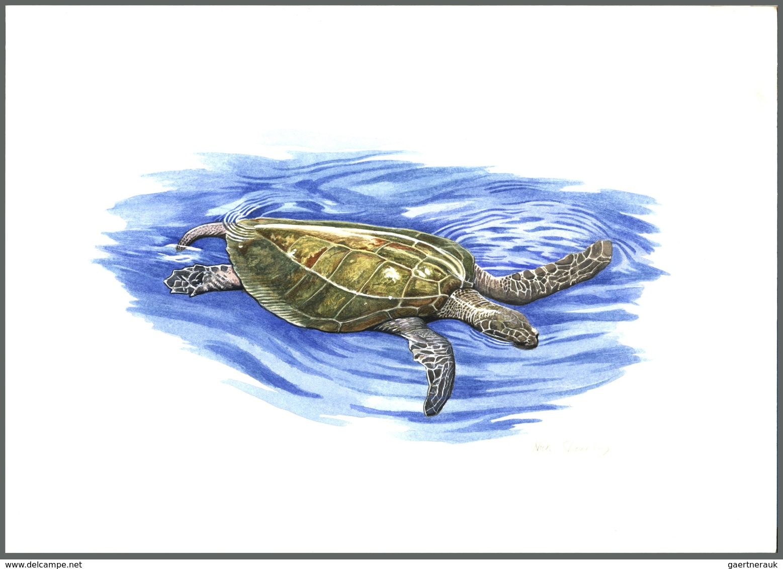 Thematik: Tiere-Schildkröten / Animals-turtles: 1995 (ca.), TURKMENISTAN: Turtles Set Of Four Differ - Tortues
