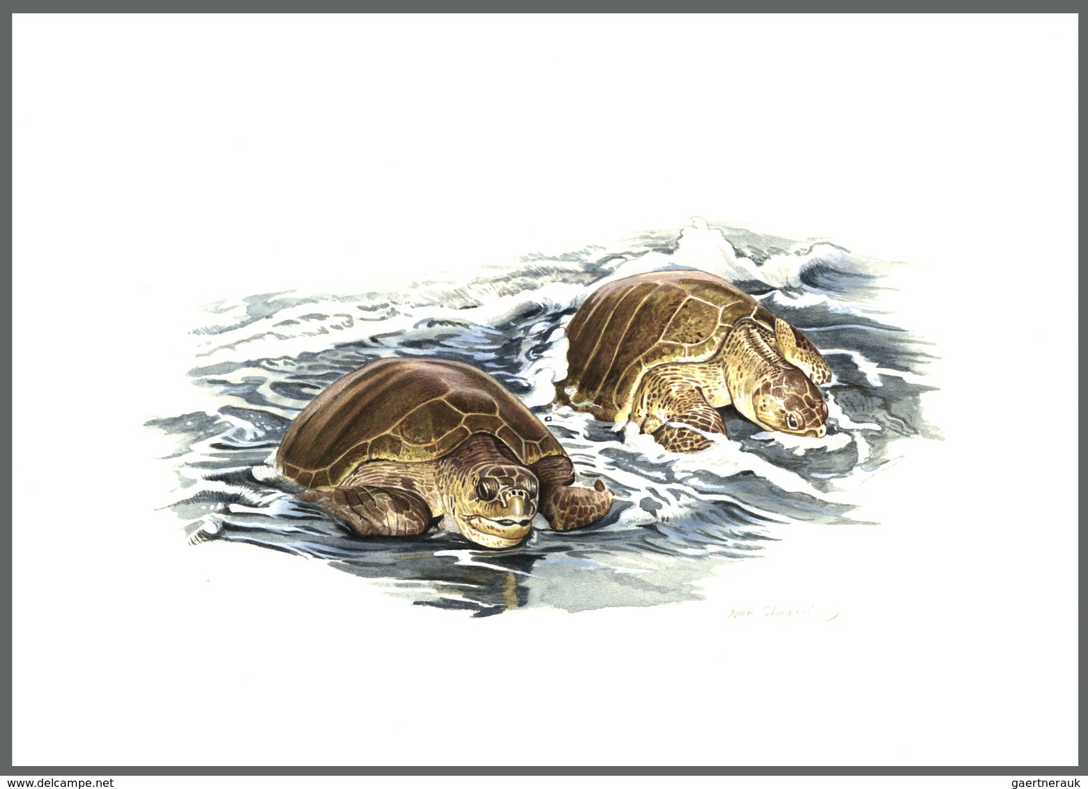 Thematik: Tiere-Schildkröten / Animals-turtles: 1995 (ca.), TURKMENISTAN: Turtles Set Of Four Differ - Tortues