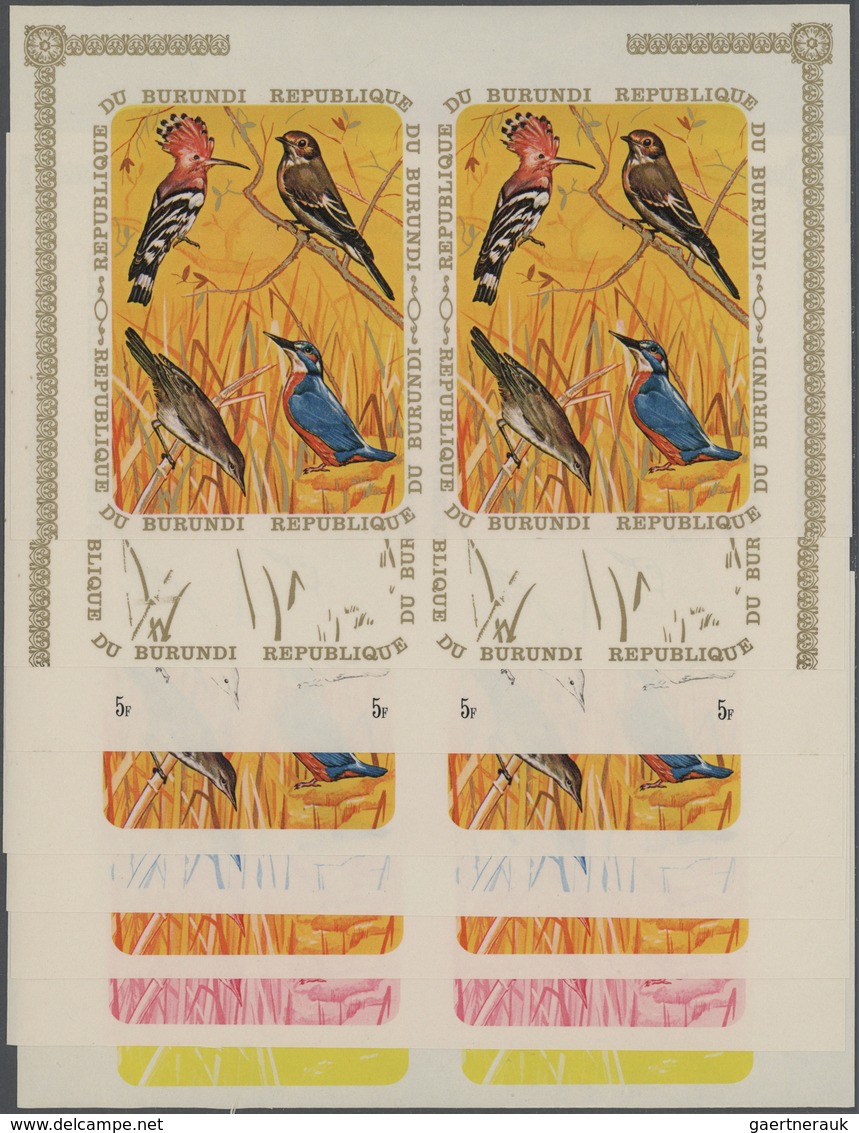 Thematik: Tiere-Vögel / Animals-birds: 1970, Burundi, Upupa Epops, Ficedula Hypoleuca, Acrocephalus - Autres & Non Classés