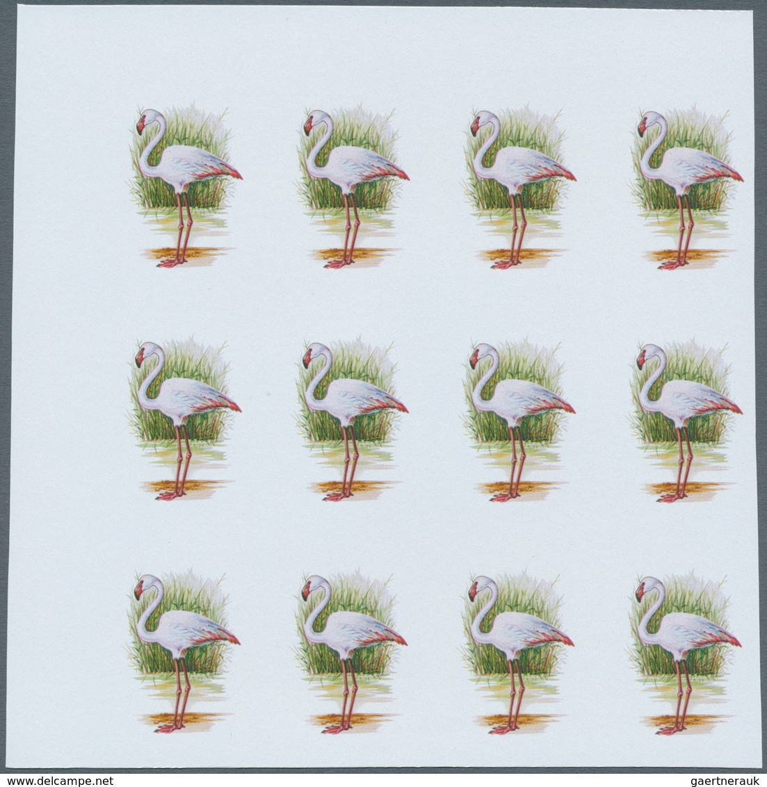 Thematik: Tiere-Vögel / Animals-birds: 1988, MAROKKO: Birds Set Of Two Values 3.60dh. 'Phoenicopteru - Autres & Non Classés