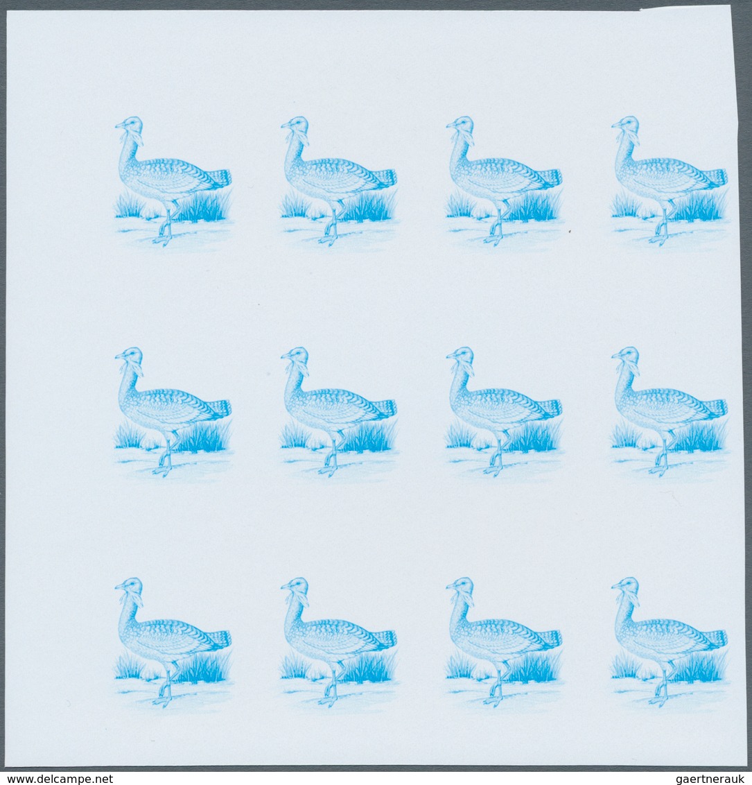 Thematik: Tiere-Vögel / animals-birds: 1988, MAROKKO: Birds set of two values 3.60dh. 'Phoenicopteru