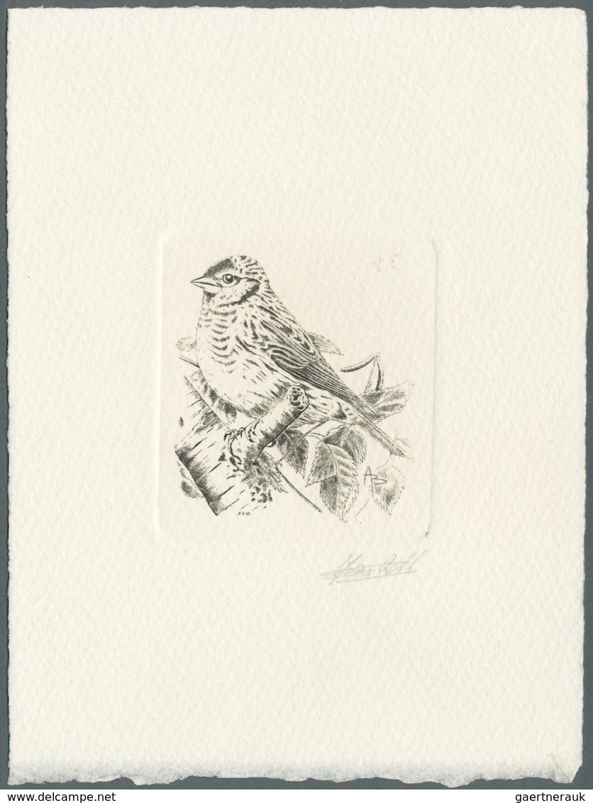 Thematik: Tiere-Vögel / Animals-birds: 1992, Belgium. Epreuve D'artiste Signée In Black For The Stam - Autres & Non Classés