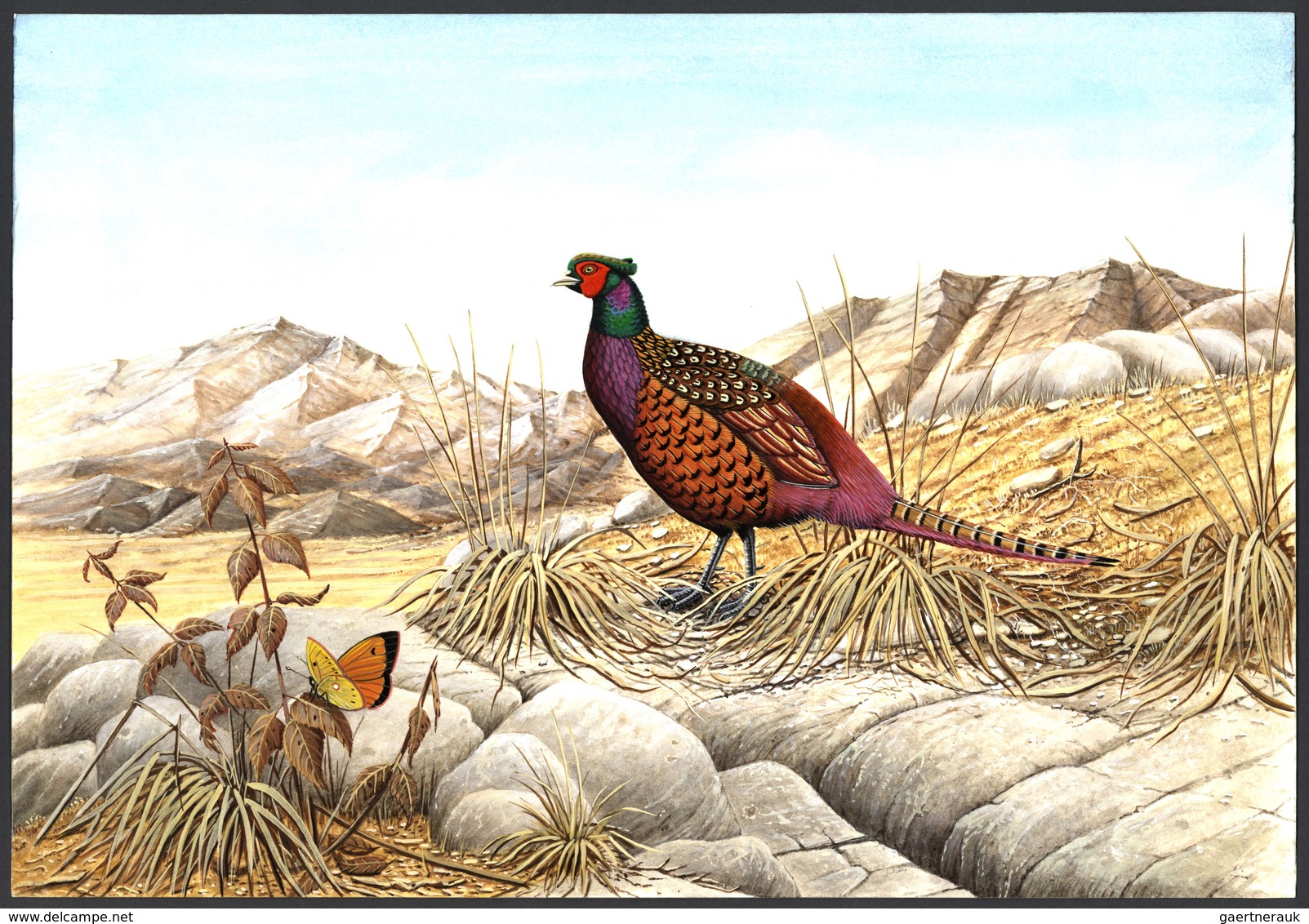 Thematik: Tiere-Vögel / animals-birds: 1996, TAJIKISTAN: threatened BIRDS set of six different origi