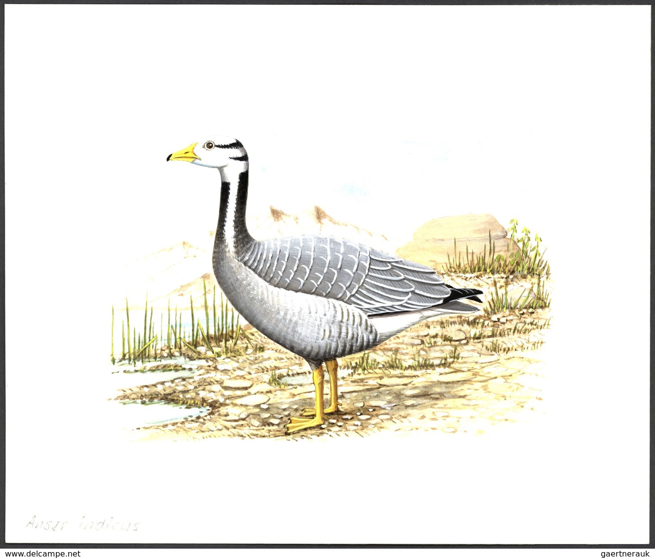 Thematik: Tiere-Vögel / animals-birds: 1996, TAJIKISTAN: threatened BIRDS set of six different origi