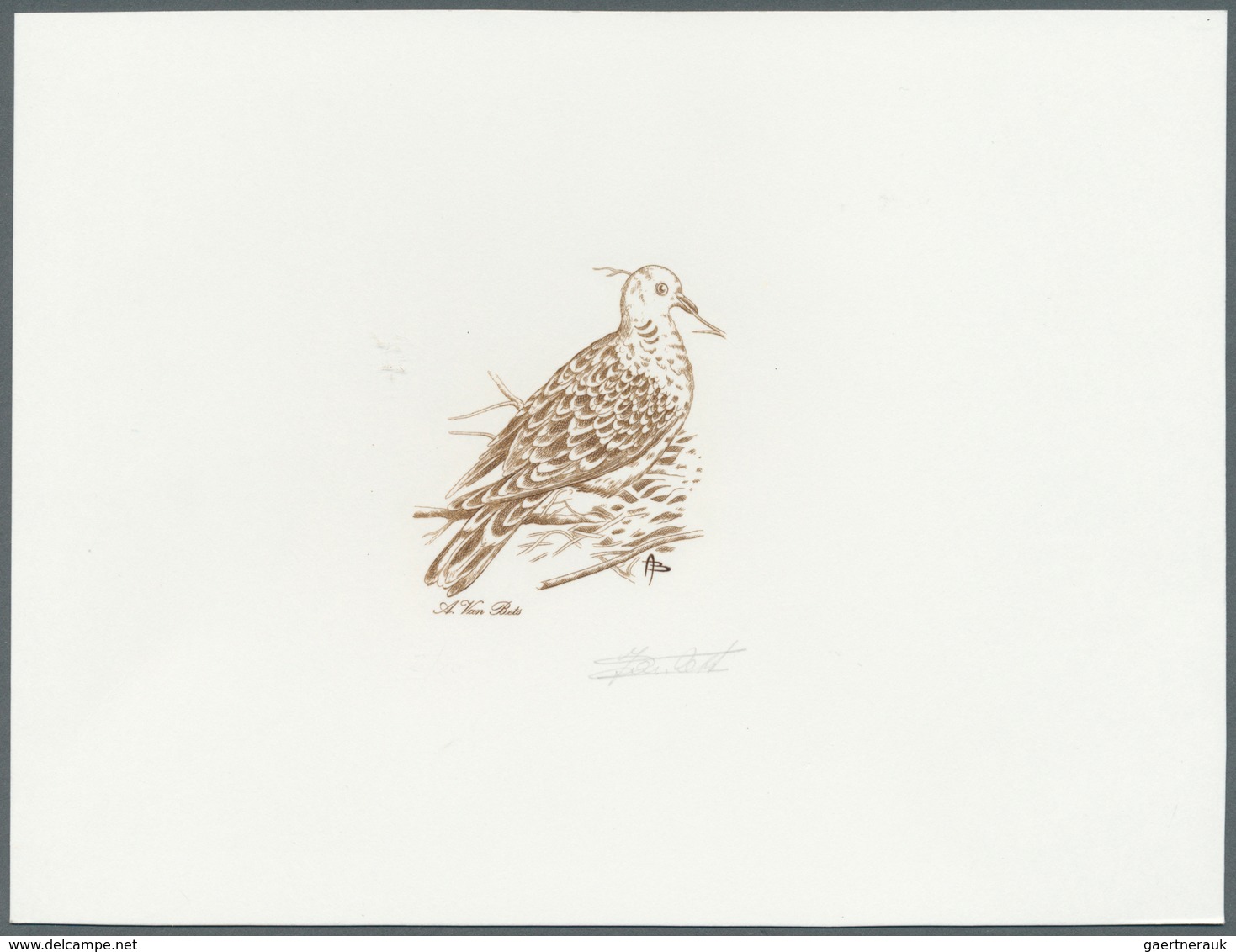 Thematik: Tiere-Vögel / Animals-birds: 1998, Belgium. Epreuve D'artiste Signée In Brown For The Stam - Autres & Non Classés