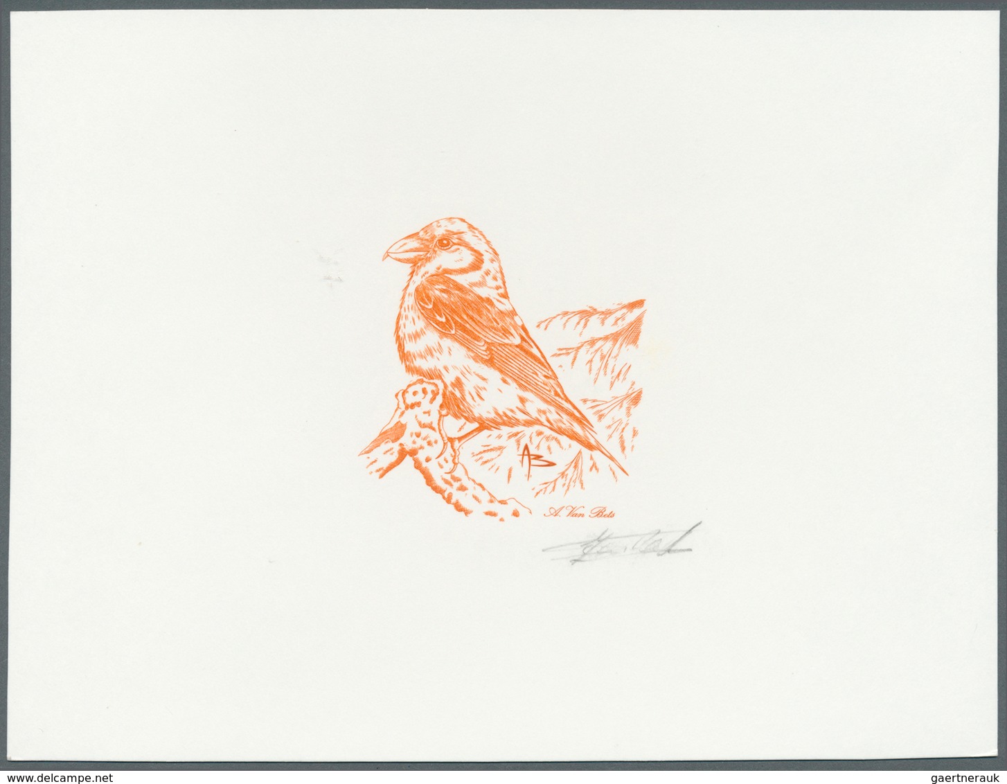 Thematik: Tiere-Vögel / Animals-birds: 2000, Belgium. Epreuve D'artiste Signée In Brown-orange For T - Autres & Non Classés