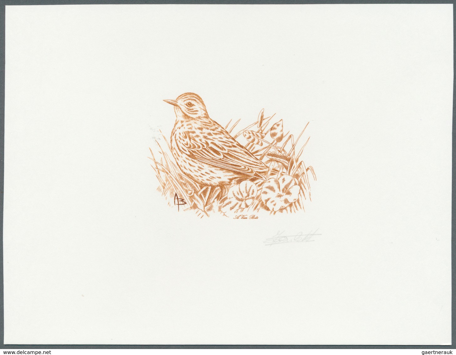 Thematik: Tiere-Vögel / Animals-birds: 2000, Belgium. Epreuve D'artiste Signée In Brown For The Stam - Sonstige & Ohne Zuordnung