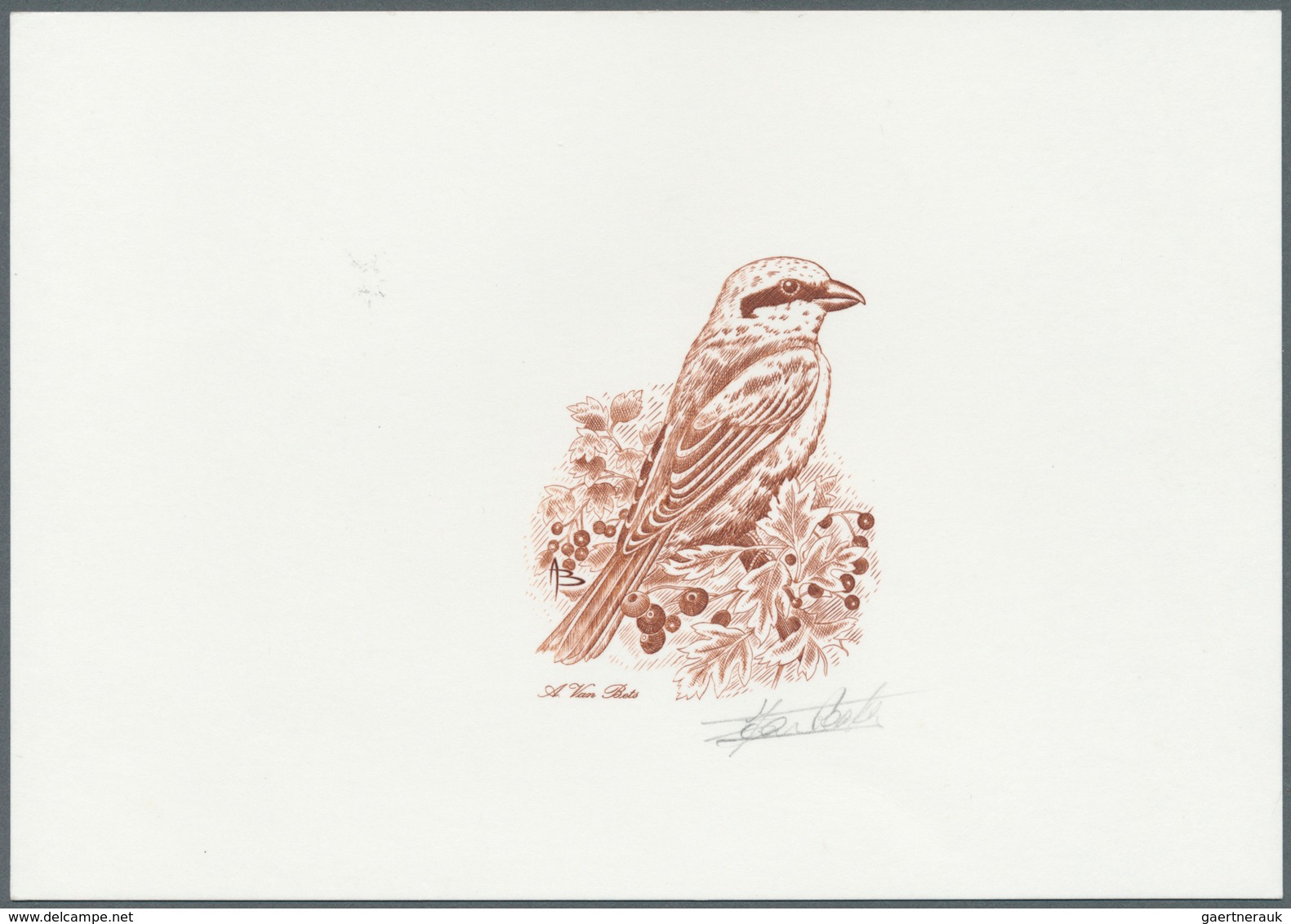 Thematik: Tiere-Vögel / Animals-birds: 2000, Belgium. Epreuve D'artiste Signée In Sepia For The Stam - Autres & Non Classés