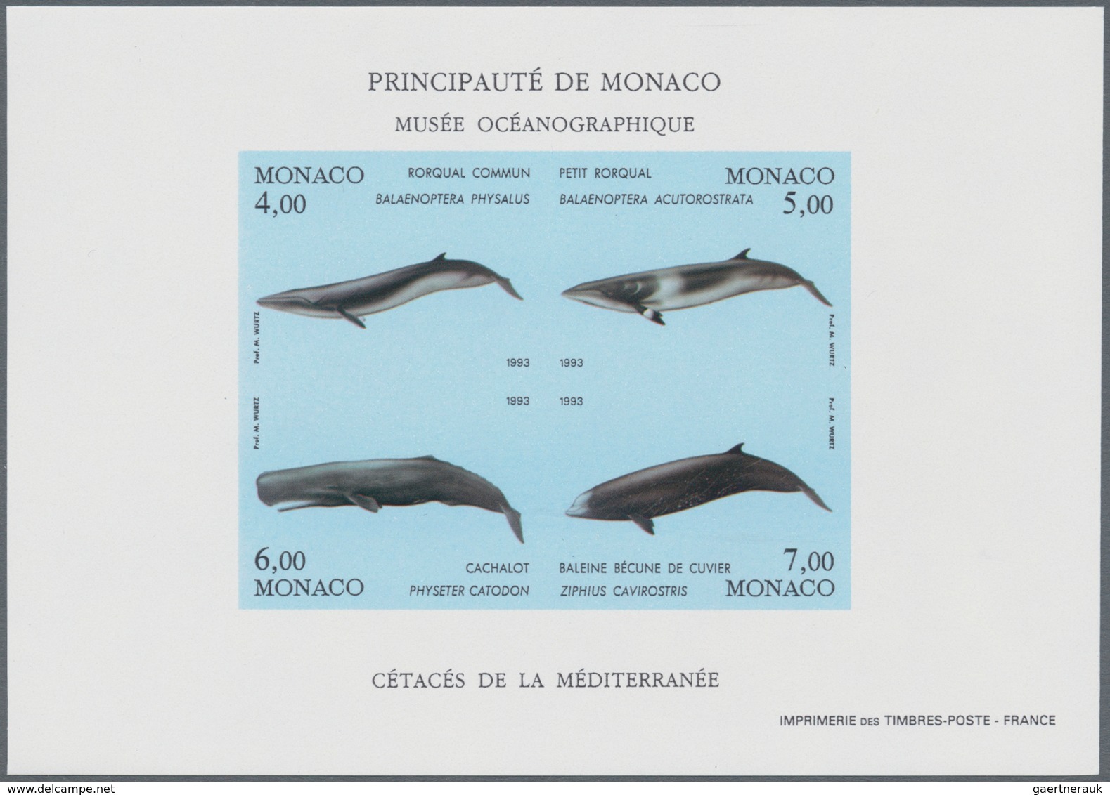 Thematik: Tiere-Meeressäuger (u.a. Wale) / Animals-aquatic Mammals: 1992/1994, MONACO: Whales And Do - Autres & Non Classés