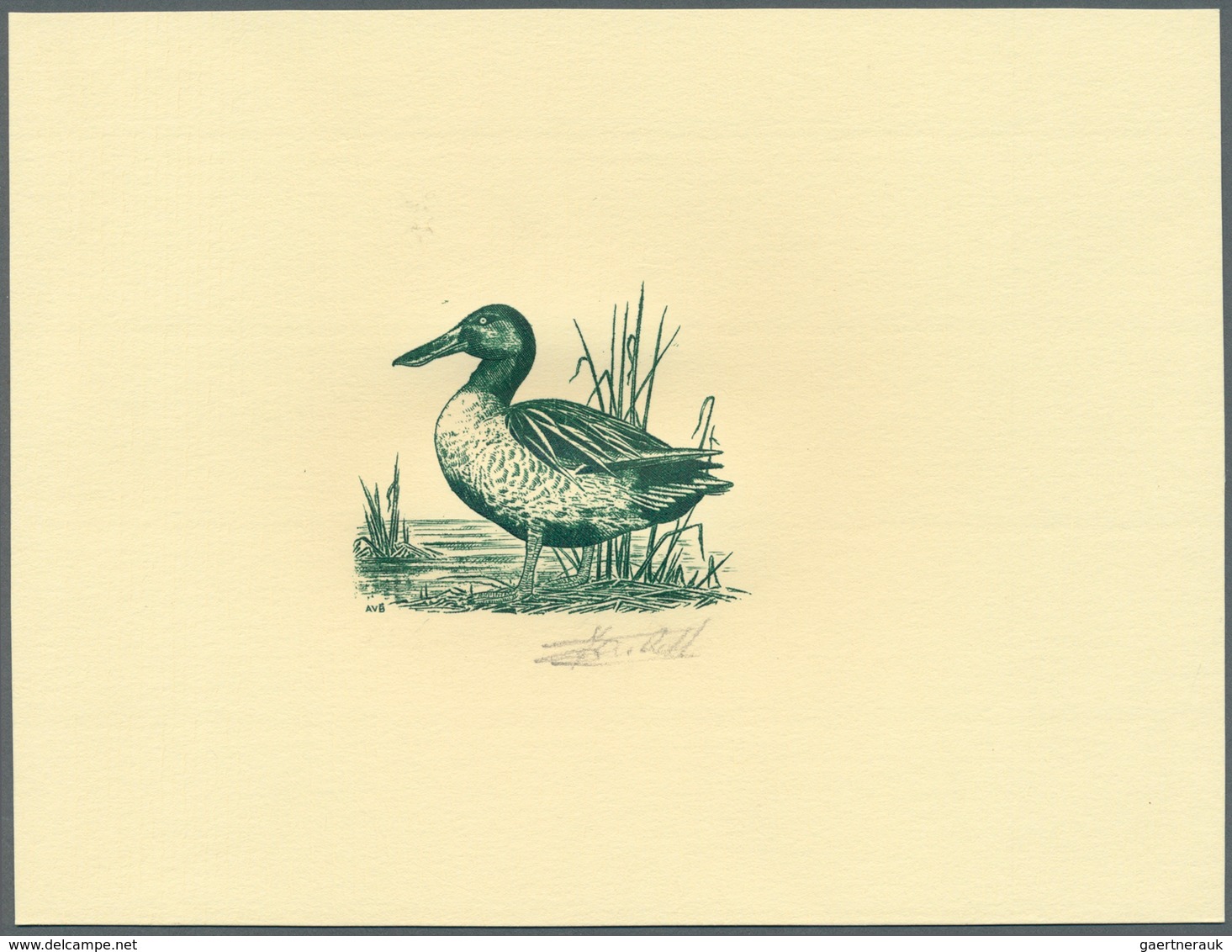 Thematik: Tiere-Wasservögel / animals-water birds: 1989, Belgium. Set of 4 Epreuves d'artiste in gre
